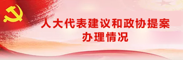 人大代表建议和政协提案办理情况