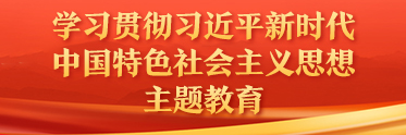 学习贯彻习近平新时代中国特色社会主义思想主题教育